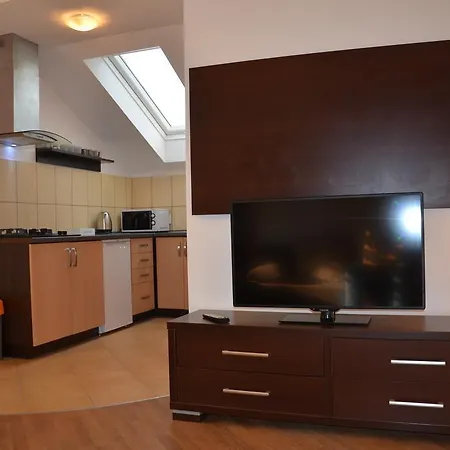 Apartment Centrum Milowka